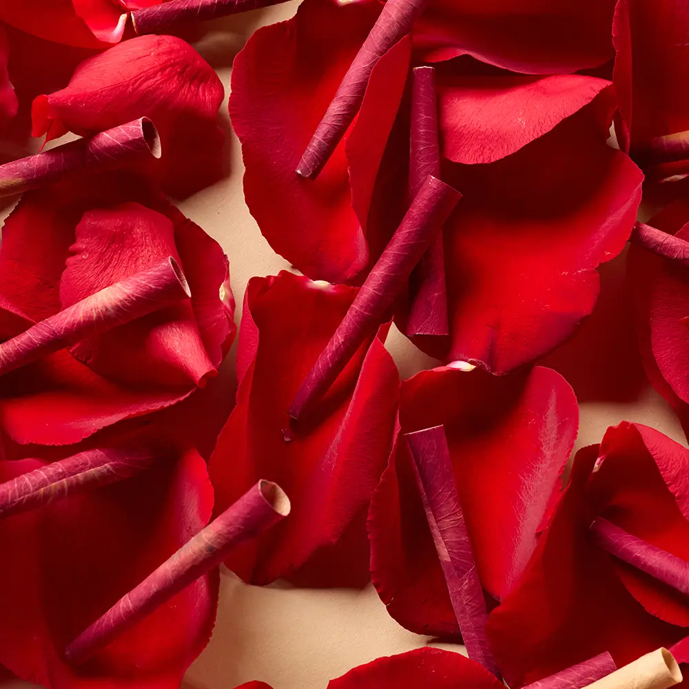 3 Pack Mini Rose Cones - 70MM - Image 2
